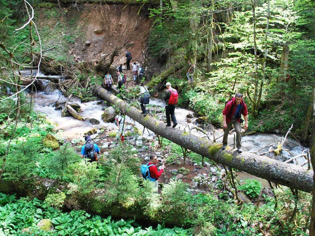 Rafting Camp Tara Center Tri Vodenice Bastasi Екстер'єр фото